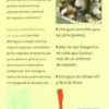 Guía para identificar setas con seguridad 2