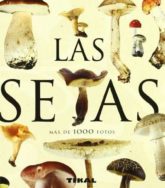 Las Setas (Enciclopedia Universal) 2