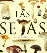 Las Setas (Enciclopedia Universal) 3