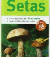 Setas 9