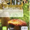 Setas de españa y europa / Mushrooms in Spain and Europe (Spanish Edition) 2