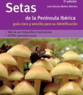 Setas de la Peninsula Iberica: Guia Clara y Sencilla para su Identificacion 12