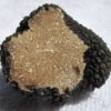 Trufa de Verano 1 kg 2