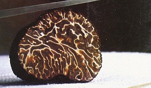 Trufa Negra 100 gramos 2 T. Brumale