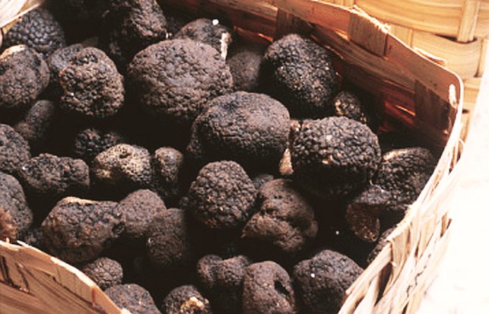 Comprar Trufas - Tienda donde comprar Trufas y Setas