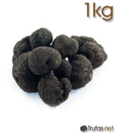 compra trufa negra 1 kg