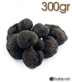 trufa-negra-300-gramos-240x275