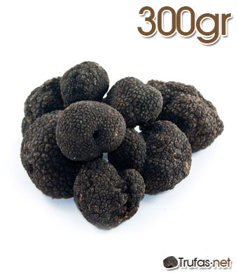 Comprar Trufas Negras - Tienda de Trufa Fresca. Somos Truferos.