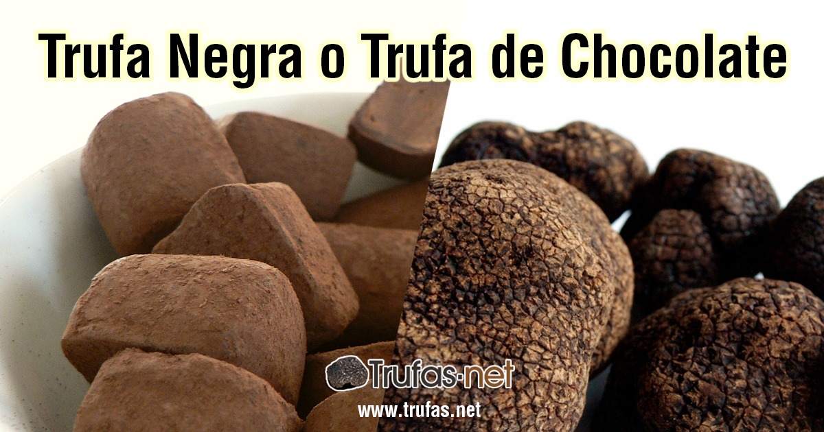trufa-negra-o-trufa-de-chocolate.jpg