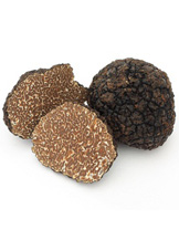 Trufa negra