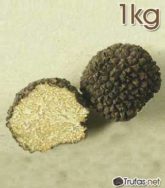 Trufa de Verano 1 kg 1