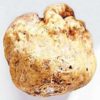 Trufa Blanca 1Kg 2