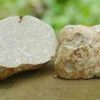 Trufa Blanca 1Kg 3