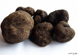 Donde comprar trufas